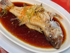 清蒸石斑-大茄来海鲜餐厅(亚洲城分行)