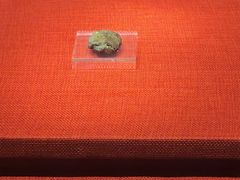 -南越王博物院