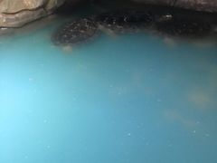 -无锡动物园·太湖欢乐园