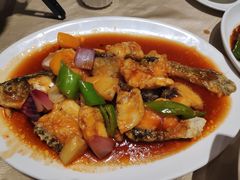 -张记旺角食街(动物园店)