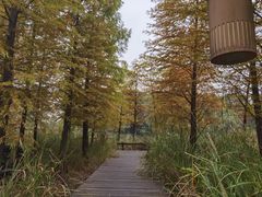 -梁鸿国家湿地公园