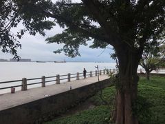 -大湾区中央湿地公园-十九涌