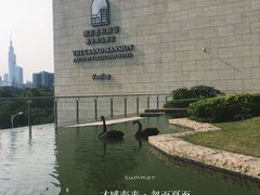 -行者书屋大堂吧 ·下午茶(南京圣和府邸酒店)