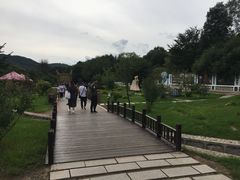 -横道河子东北虎林园