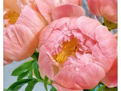 -循礼门鲜花花市(武汉循礼门店)