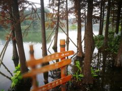 -重庆彩云湖湿地公园