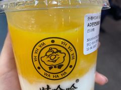 -娃哈哈·奶茶(武林店)
