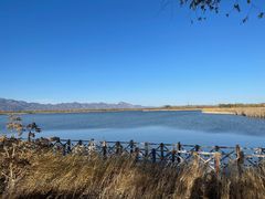-野鸭湖国家湿地公园