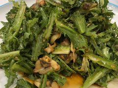 海鲜拌苦菊-正阳春烤鸭店(杨楼店)