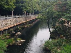 -洛阳白云山景区