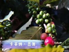 景观位-豆舞咖啡(民乐路店)