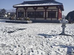 -洛阳古墓博物馆