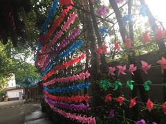 -观澜山水田园