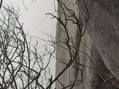-北京凤凰岭