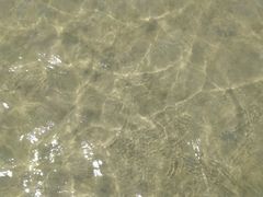 -北海金海湾红树林生态旅游区