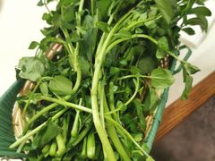 西洋菜-燃计沙茶皇·香港沙茶火锅(人广旗舰店)