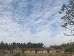 -苏家围·东江画廊旅游景区