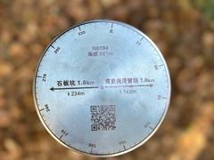 -四明山国家森林公园