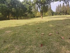 -滨江森林公园-真人CS野战场