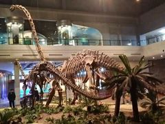 -自贡恐龙博物馆