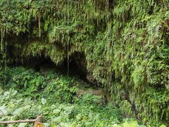 -海口火山口国家地质公园