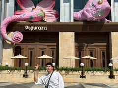 -帕帕拉兹宠物(亚洲旗舰店)