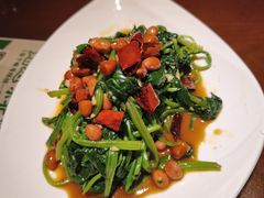 -纯肴大东北(新城北街店)