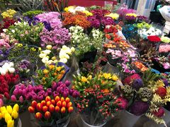 -双季花艺园艺市场(浦东店)