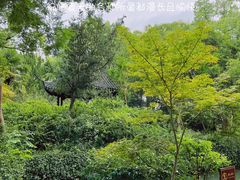-上海醉白池公园