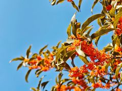 -南通洲际绿博园