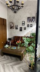 -IDOL-PLUS