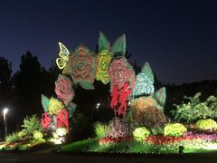 -郑州植物园