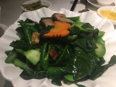 -百乐潮州酒家(时代广场店)