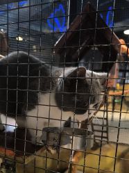 -酷嗒动物文化乐园(cutezoo西溪乐天城店)