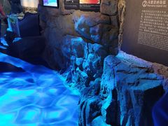 -贝林大翅鲸简餐厅(国家海洋博物馆店)