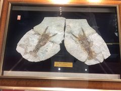 -阿胖龙虾小海鲜(宁国南路总店)