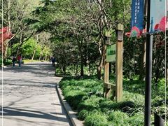 -吴淞炮台湾湿地森林公园烧烤区