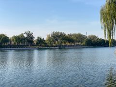 -后海公园