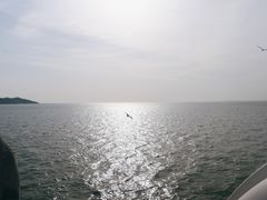 -长岛万鸟岛