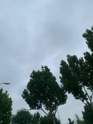 -HEYAN长风荷妍专业脱毛美肤
