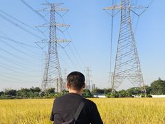 -低涌(地铁站)