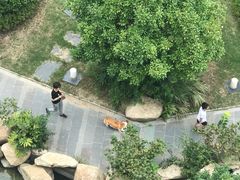 -上海崇明金茂凯悦酒店