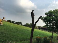 -渔娘蟹庄(阳澄湖莲花岛店)