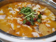 -龙梅肥肠鱼(明瓦廊店)