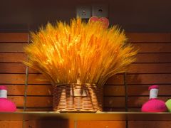 -泰合玺·精油疗愈SPA(狮山天街生活广场店)
