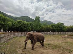 -西安秦岭野生动物园