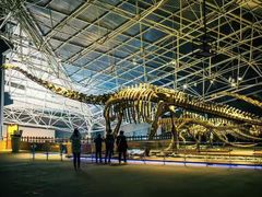 -世界恐龙谷景区