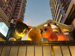 -巴厘龙虾·榜首油焖大虾(洞庭·艺术洋房店)