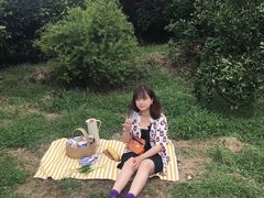 -柑橘农场