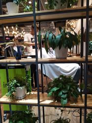 -曼都发型·臻选